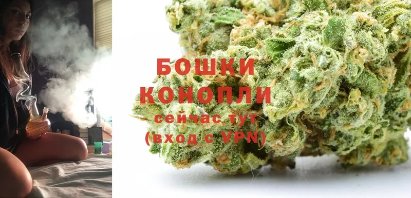 Бошки марихуана THC 21%  Камышин 